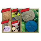 Yellow Door Let's Investigate Woodland Footprint Stones 8-Piece Set-They can record their findings by taking rubbings, making impressions in play dough, creating prints using paints and investigating what else they can find out about each animal