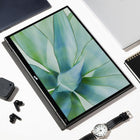 Mobile Pixels Duex Float 2 Pro 16" Class WQXGA LCD Monitor-33% lighter and 20% thinner than previous model