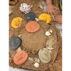 Yellow Door Let's Investigate Seashore Stone Figures 8-Piece Set-Set contains eight stones: auger shell, crab, jellyfish, lobster, nautilus shell, seaweed, starfish and whelk shell.