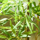 HOMCOM 4' Artificial Bamboo Tree for Indoor Home Decor - Green-Colour: Green, Black 