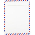 JAM Paper Enveloppes pour catalogue avec ouverture à lâ€™extrémité 9 x 12 pour correspondance aérienne, 100/paquet-Fait de papier pour correspondance aérienne