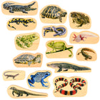TickiT - Blocs en bois pour reptiles et amphibiens - Lot de 15-15 reptiles: Cet ensemble comprend 15 blocs de bois recto-verso avec des reptiles et des amphibiens imprimés. Encouragez les enfants à utiliser leur imagination lorsqu'ils examinent les créatures du quotidien