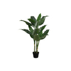 Monarch Specialties 42" Artificial Indoor Evergreen Tree - Floor - Black Pot-Add a vibrant burst of greenery to any floor of your home or office with this 42" tall artificial indoor evergreen tree in a 5" black pot