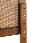 Modway Sirocco Rattan and Wood Queen Platform Bed - Walnut-Weight Capacity: 794 lb