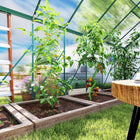 Outsunny - Serre en polycarbonate et aluminium 16 pi x 8 pi avec lucarne de toit réglable- Porte coulissante pour un accès facile  
