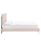 Modway Current Performance Velours Lit Plateforme Full Avec Pieds en Métal Doré - Rose-Capacité de poids du cadre de lit : 800 lb