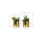 Monarch Specialties - Plante Artificielle - 7 po H - Succulent - En Pot - Ensemble De 2 - Plantes Vertes - Pots Dorés Brillants-Aucun assemblage n'est nécessaire et il suffit de placer ces plantes vertes en pot sur une étagère, une table d'appoint ou un bureau pour obtenir un accent décoratif élégant et moderne