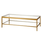 Hudson&Canal Alexis 54"W Rectangular Coffee Table - Brass-Tabletop weight capacity is 40 lbs