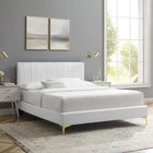 Modway Peyton Performance Velvet Queen Platform Bed with Gold Metal Legs - White-Assembly Required