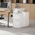 HOMCOM 2-Drawer Fluted Vertical Letter/A4 Filing Cabinet with Lock - White-Fluted drawer fronts with gold finger pulls for a modern look
