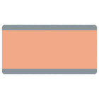 Ashley Productions Big Reading Guide - 3-3/4" x 7-1/4" - Peach - 12 Pack-Reading guide filters are ideal for overcoming reading difficulties