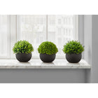 Monarch Specialties - Plante Artificielle - 5 po H - Gazon - Mis En Pot - Ensemble De 3 - Plantes Vertes - Pots Noirs-Chaque fausse plante en pot reproduit un aspect réel avec un feuillage vert vibrant