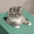 PawHut Enclosed Cat Litter Box with Scoop, Tray, Top Entry and Foldable - Green-Roominess enhances comfort 