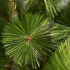 HOMCOM - 7 Sapin de Noël artificiel FT avec branches réalistes - vert-Les branches sont en PET, épaisses et très résistantes 