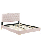 Modway Amber Full Lit Plateforme Avec Pieds en Métal Doré - Rose-TOUFFE BOUTONNÉE – Apportez le glam-déco et le style vintage moderne à un adolescent ou à la chambre d’amis avec la tête de lit complète de ce lit à plateforme dotée de touffes boutonnées, de moulures en forme de tête d’ongles et d’une silhouette charmante