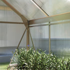 Outsunny Polycarbonate Greenhouse - 6' x 6' x 6.6' - Silver- Rooftop vent for excellent ventilation for your unit
 