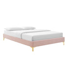 Modway Gwyneth Tufted Performance Velvet Queen Platform Bed with Gold Metal Legs - Pink-9