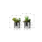 Monarch Specialties - Plante Artificielle - 7 po H - Succulent - Mis En Pot - Ensemble De 2 - Plantes Vertes - Pots En Chrome-Aucun assemblage n'est nécessaire et il suffit de placer ces plantes vertes en pot sur une étagère, une table d'appoint ou un bureau pour obtenir un accent décoratif élégant et moderne