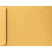 LUX 13 x 19 Jumbo Envelopes, 28lb. Brown Kraft, 250 Pack (22663-250)-13 x 19 jumbo envelopes perfect solution to accommodate artwork/maps/clothing/product samples/videos/marketing literature/promotional items/bulky gifts/large format documents