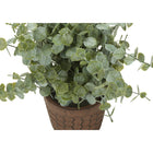 Monarch Specialties - Plante Artificielle - 13 po H - Herbe D'Eucalyptus - En Pot - Ensemble De 2 - Feuilles Vertes - Pots Bruns-Aucun assemblage n'est requis et une garantie limitée de 5 ans contre les défauts de fabrication est offerte pour votre confort