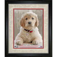 Montreal Canadiens Dog - Framed Print - 12" x 15"-Premium virtual frames