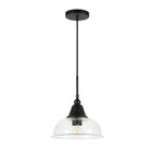 Hudson&Canal - Suspension Magnolia de 27,3 cm de large avec abat-jour en verre - Bronze noirci/grainé-Design moderne et contemporain pour votre entrée, votre foyer ou votre cuisine
