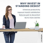 MotionGrey Electric Dual Motor Height Adjustable 140" W Sit-to-Stand Desk - White Frame-9