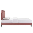 Modway - Novi Lit King en velours haute performance avec pieds effilés en bois noir - Vieux rose-Poutre centrale renforcée