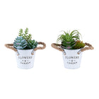 Monarch Specialties - 9361 Succulente Artificielle 7" de Haut - Pots en Métal Blanc - Ensemble de 2-Rafraîchissez votre décoration de table avec cet ensemble de 2 plantes artificielles, comprenant des succulentes artificielles de 7" de hauteur, disposées dans des pots en métal blanc élégants, un accent propre et moderne pour la maison ou le bureau