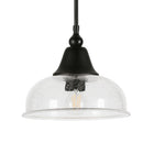 Hudson&Canal - Suspension Magnolia de 27,3 cm de large avec abat-jour en verre - Bronze noirci/grainé-Conçu pour une ampoule à incandescence de 60 W - ampoule LED de 9 W, ampoule fluorescente (CFL) de 13 W ou ampoule LED à ballast automatique de 9 W, ampoule à culot E26, ampoule non incluse