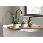 Monarch Specialties - 9363 Succulente Artificielle 8" de Haut - Pots en Ciment Gris - Ensemble de 2-Respectueuses de l'environnement et pensées pour la vie moderne, ces plantes artificielles ne demandent aucun entretien, ce qui les rend idéales pour les modes de vie actifs