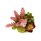 Monarch Specialties - 9366 Succulente Artificielle 9" de Haut - Pots en Ciment Gris - Ensemble de 2-Fabriquées à partir de matériaux de haute qualité, ces succulentes artificielles offrent la beauté de la verdure sans nécessiter d'entretien
