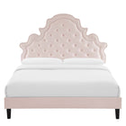 Modway Gwyneth Tufted Performance Velvet Queen Platform Bed with Black Wood Legs - Pink-Stain-Resistant Performance Velvet