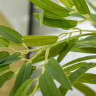 HOMCOM 5' Artificial Bamboo Tree in Pot for Indoor Decoration - Green-PE moss and cement soil are included that making it more stable and accurate 