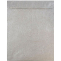 JAM Paper 10 x 13 Tyvek Envelopes, Catalog Open End with Self Adhesive Closure, Silver, 100 Pack (v021384g)-Silver