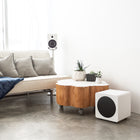Kanto 300W 8" Sealed Powered Subwoofer - Matte White-40 Hz - 120 Hz Low-Pass Filter