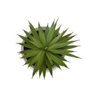 Monarch Specialties - 9362 Succulente Artificielle 9" de Haut - Pots en Ciment Blanc - Ensemble de 2-Présentées dans des pots en ciment blanc élégants, chaque plante artificielle offre un look contemporain et épuré tout en disposant d'une base solide qui complète parfaitement un décor moderne