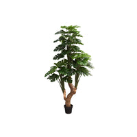 Monarch Specialties - Plante Artificielle - 83 po Heur - Arbre Monstera - Mis En Pot - Touche Réelle - Feuilles Vertes - Pot Noir-L'arbre Monstera artificiel en pot, plus vrai que nature, mesure une hauteur impressionnante de 83 pouces et est fermement fixé dans un pot noir en plastique de 8 pouces, parfait pour ajouter une touche de verdure à n'importe quel espace intérieur