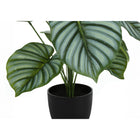 Monarch Specialties - Plante Artificielle - 24 po H - Calathée - Mis En Pot - Touche Réelle - Feuilles Vertes - Pot Noir-Aucun assemblage requis: dimensions du produit : 20 po L x 20 po L x 23,5 po H
