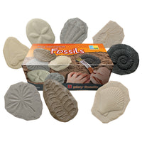 Yellow Door Let's Investigate Fossil Stone 8-Piece Set-Designed to fit snugly in small inquisitive hands