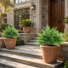 HOMCOM 23.6" Artificial UV-Resistant Boston Ferns - Green-Comes as a value two-pack for symmetrical decoration in your garden 