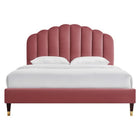 Modway Daisy Performance Velvet Queen Platform Bed with Wood Legs and Gold Metal Sleeves - Dusty Rose-Channel Tufted Headboard