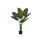 Monarch Specialties - Plante Artificielle - 44 po H - L'Arbre De L'Oiseau De Paradis - Mis En Pot - Feuilles Vertes - Pot Noir-Ajoutez de la verdure à votre espace avec cet arbre oiseau du paradis artificiel qui mesure 44 po de haut, solidement planté dans un pot noir de 5 po