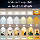 Impotek - Luminaire encastré au plafond DEL 4 po 9W 5CCT gradable avec veilleuse – Paquet de 4-Sécurité certifiée et compatibilité - Profitez de la tranquillité d’esprit avec nos certifications IC, ETL et Energy Star. Conçu pour un contact direct avec l’isolation, notre boîte de jonction protégée thermiquement garantit la sécurité et une large compatibilité avec divers types de plafonds et configurations de solives