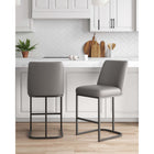 Manhattan Comfort Serena 17.71" Modern Leatherette Upholstered Counter Stool - Grey - 2 Pack-Frame Made of Metal with Matte Black Finish