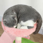 PawHut - Arbre à chat 28 po avec lit supérieur en peluche - rose et vert-Construit avec une base large et des panneaux épais pour une stabilité supérieure sans vacillement 