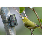 Technaxx TX-117 FullHD 1080p Mini Nature Wild Cam - Camo-FullHD 1080p video resolution 