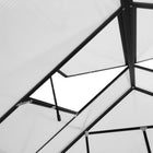 Outsunny - Serre en polycarbonate et aluminium 20 pi x 8 pi avec fenêtre de toit réglable- Porte coulissante pour un accès facile  
