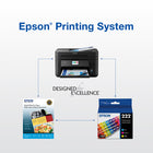 Epson T222 Ink Cartridges - Standard Capacity - Cyan/Magenta/Yellow-Convenient individual ink cartridges