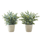 Monarch Specialties - Plante Artificielle - 13 po H - Herbe D'Eucalyptus - Mis En Pot - Ensemble De 2 - Pots Blancs - Pots Bruns-Ajoutez une touche de verdure à votre maison ou à votre bureau avec ce lot de 2 plantes artificielles d'eucalyptus d'intérieur seulement, d'une hauteur maximale de 13 pouces